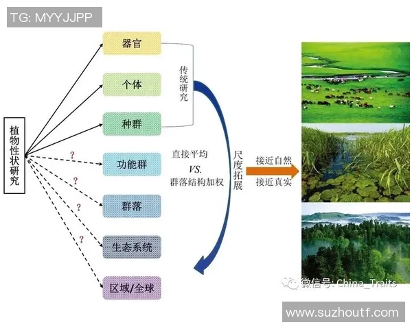 俞长栋:从历史巨匠到现代文化传承的桥梁与启示 俞长栋:从历史巨匠到现代文化传承的桥梁与启示