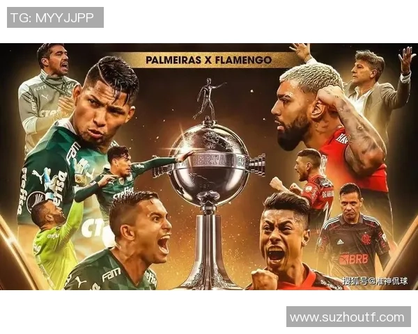 帕尔梅拉与巴西红牛激战正酣谁将夺得本场比赛的胜利荣耀