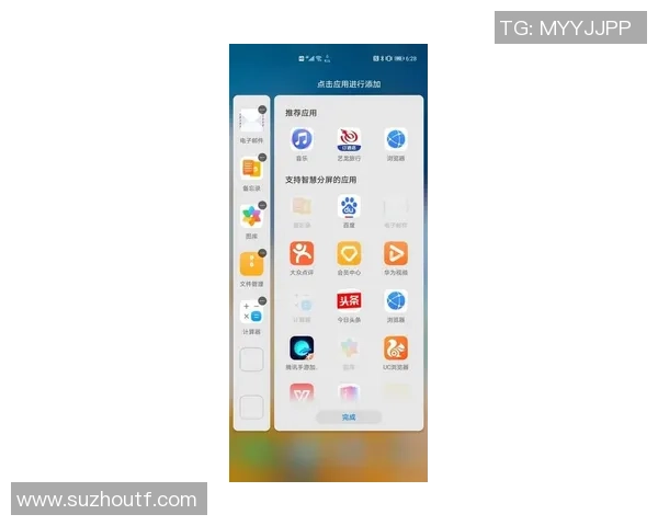 日本阿vs网站手机的全面对比分析与使用体验分享