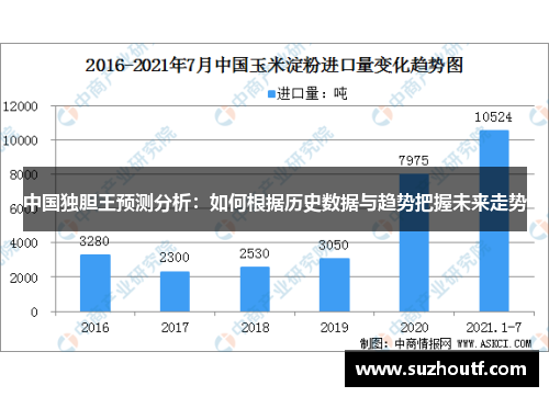 中国独胆王预测分析：如何根据历史数据与趋势把握未来走势