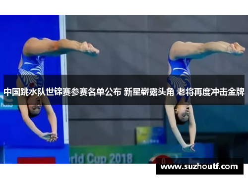 中国跳水队世锦赛参赛名单公布 新星崭露头角 老将再度冲击金牌