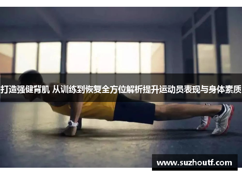打造强健背肌 从训练到恢复全方位解析提升运动员表现与身体素质